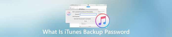 ما هي كلمة مرور النسخ الاحتياطي لبرنامج iTunes