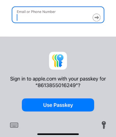 Mostra password automaticamente