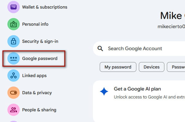 Select Google Password Option