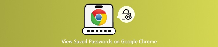 在 Google Chrome 上查看保存的密码