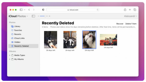 iCloud Fotoğrafları