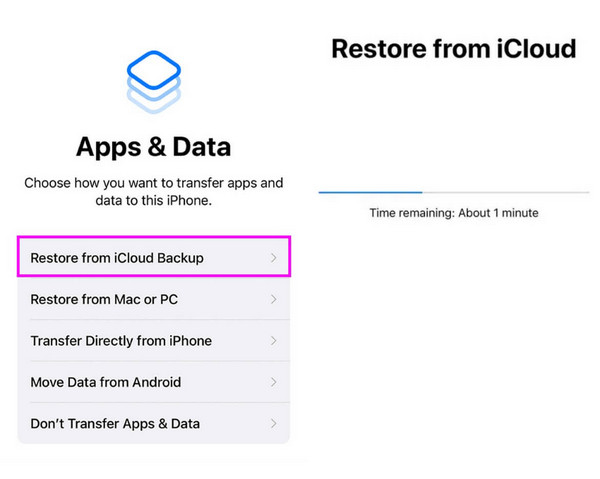 Restore From iCloud
