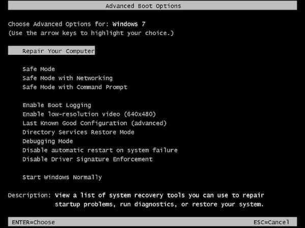 Windows Advanced Boot Options