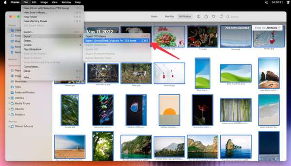 Tải xuống iCloud Photos cho MAC