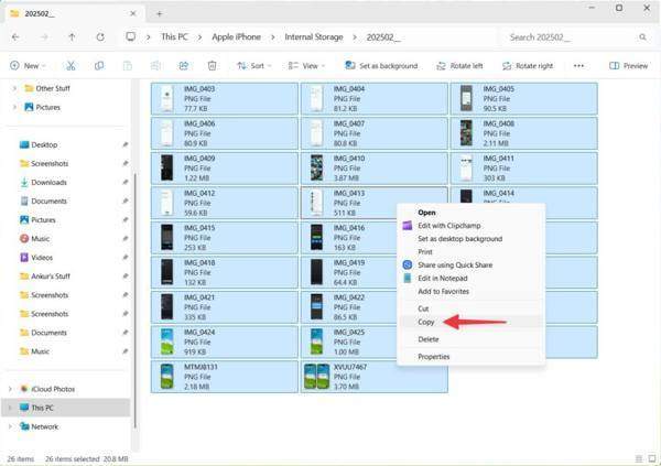 Copia foto Esplora file