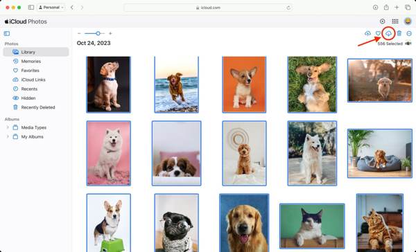 iCloud-foto's downloaden via de website
