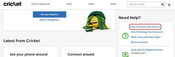 Cricket Manage Account Page