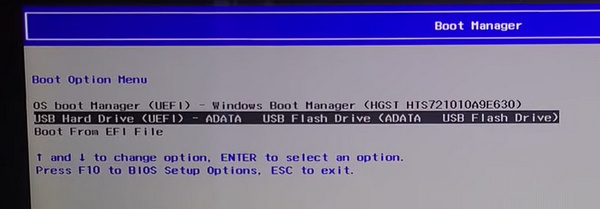 Masukkan Pengurus But