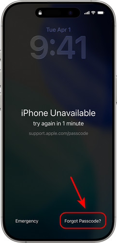 Unlock Using Forgot Passcode