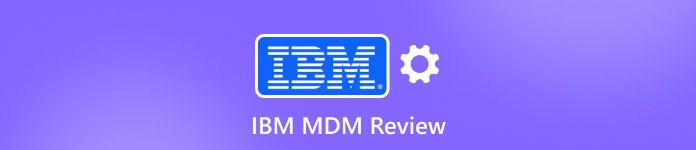 IBM MDM recension