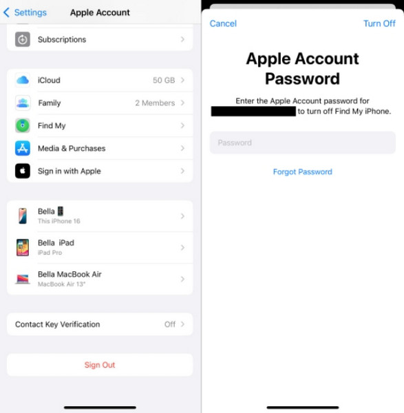 Demisionat în iCloud