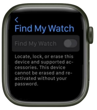 Settings Apple Watch