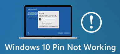 Pin de Windows 10 no funciona