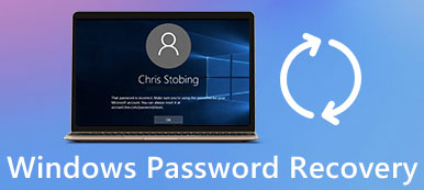 Windows Password Recovery