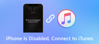 iPhone'u Devre Dışı Bırakma iTunes'a Bağlan