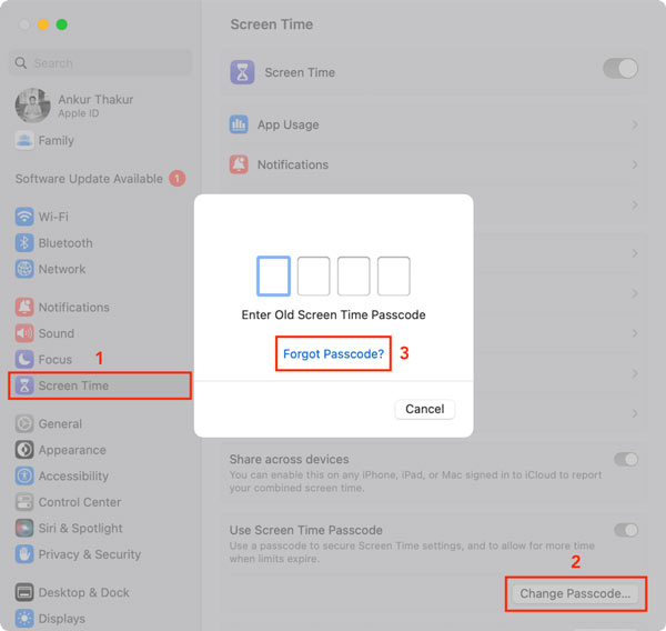 Reset Screen Time Passcode on Mac