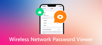 Bester Passwort-Viewer für drahtlose Netzwerke