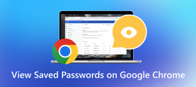 在 Google Chrome 上查看已儲存的密碼
