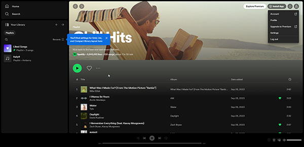 Interface da conta Spotify
