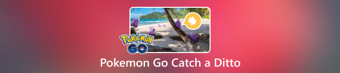 Pokemon Go Bắt một Ditto