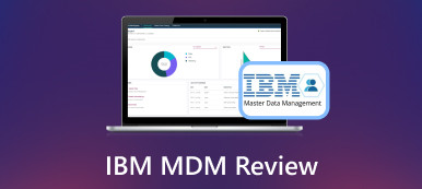 IBM MDM 검토