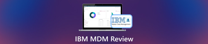 IBM MDM レビュー