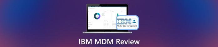 IBM MDM İncelemesi