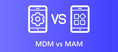 MDM VS MAM