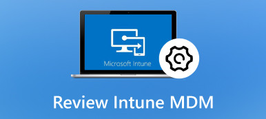 Intune MDM 검토