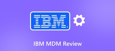 IBM MDM-recensie