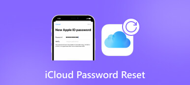 iCloud Password Reset