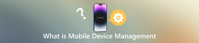मोबाइल डिवाइस प्रबंधन क्या है?