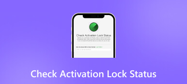 Check Activation Lock Status