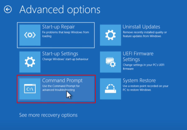 Cammand Prompt Advanced