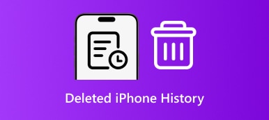 Historial de iPhone eliminado
