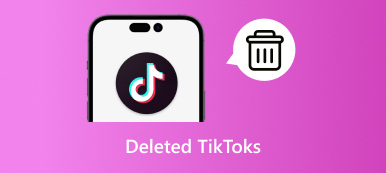 Smazán Tiktos S