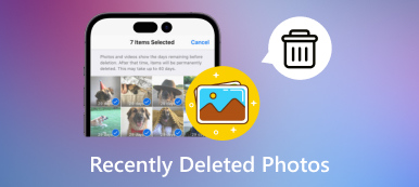 Nedávno smazané fotografie