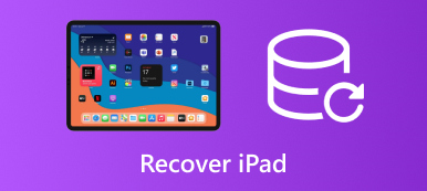 Obnovit iPad S