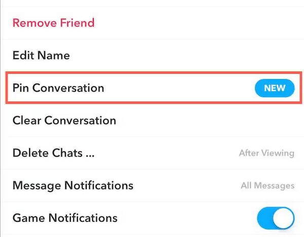 Pin Snapchat