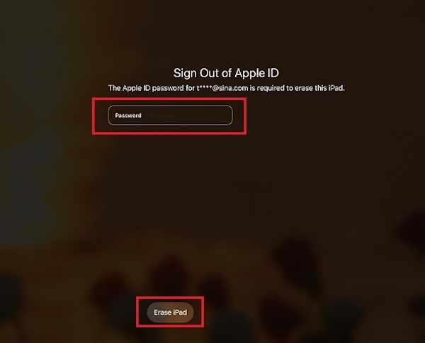 Erase iPad