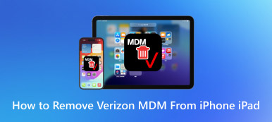 如何从 iPhone iPad 中删除 Verizon MDM