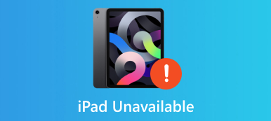 iPad 不可用