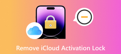 删除 iCloud 激活锁
