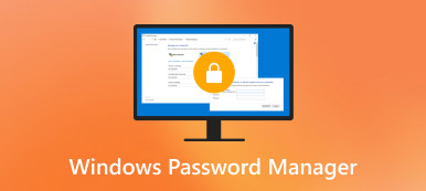 Windows Password Manager