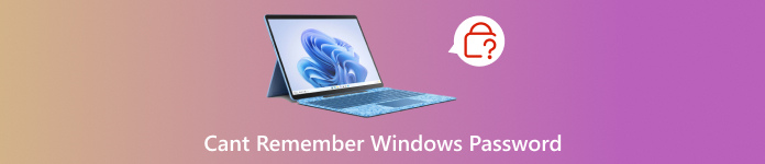 لا أستطيع تذكر كلمة مرور Windows