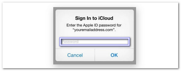 检查 Apple ID 和 Icloud 设置