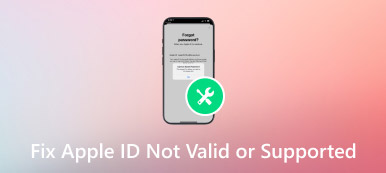 Apple Kimliğinin Geçerli Olmaması veya Desteklenmemesi Hatasını Düzeltin