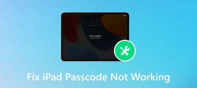 Ipad Parolasının Çalışmamasını Düzeltin