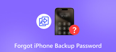Iphone Yedekleme Şifresini Unuttum