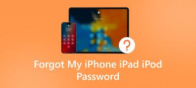 Glömt lösenordet till min Iphone Ipad Ipod